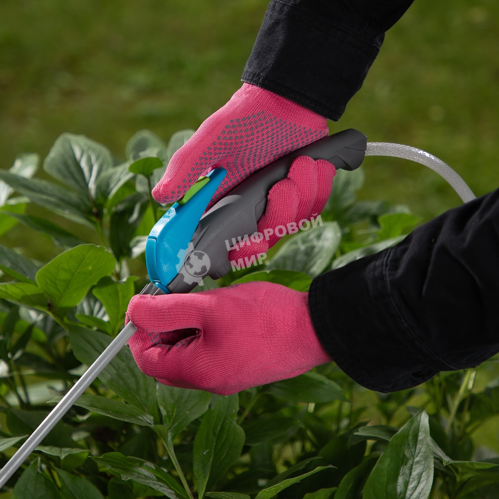 Перчатки в наборе Palisad 5 пар, цвета в ассортименте, ПВХ точка, L