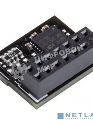 Модуль TPM-SPI