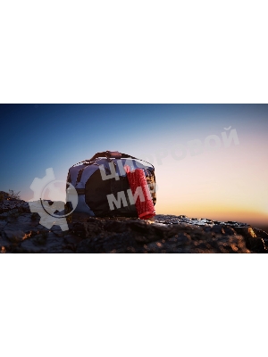 Портативная колонка Xiaomi Sound Outdoor 30Вт красный