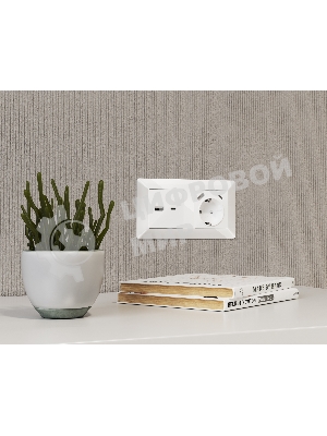 Комплект механизма розетки ALFA Белый глянец 2USB A+C 20W (быстрая зарядка) QUANT MA111010