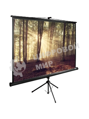 Экран Cactus 135x180 см TriExpert CS-PSTE-180х135-BK 4:3 напольный рулонный