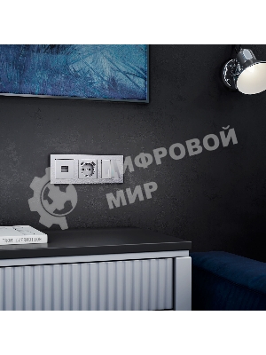 Розетка Ethernet RJ-45 (серебряный)
