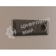 Лицевая панель ALFA (Темная бронза матовый) для HDMI розетки QUANT AP6440