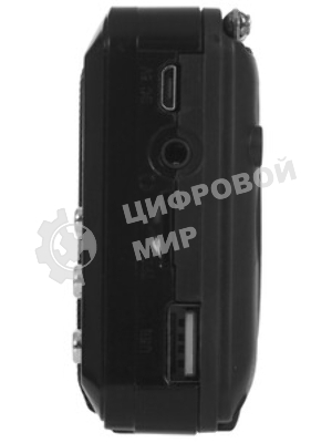 Радиоприемник SOUNDMAX SM-RD2116 черный