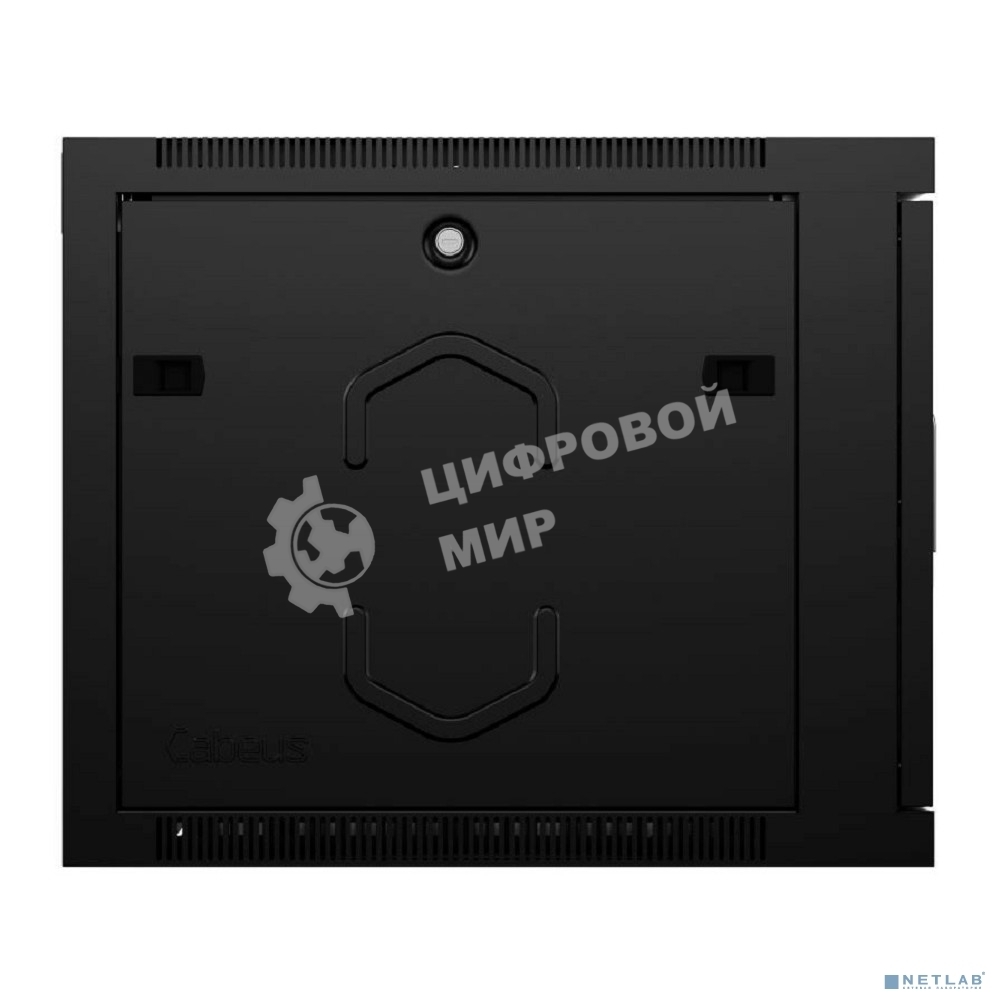 Шкаф телекоммуникационный настенный Cabeus SH-05F, 19