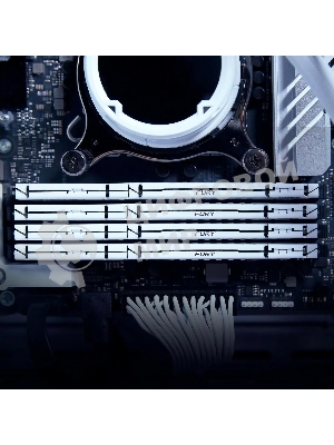 Оперативная память Kingston Fury Beast, DDR5, 32Gb (1x32GB), 5600MHz, CL40, DIMM, радиатор, белый