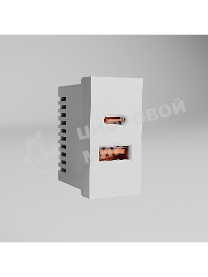 Модульная розетка USB тип A+C 45*22,5 (белый) W1272701