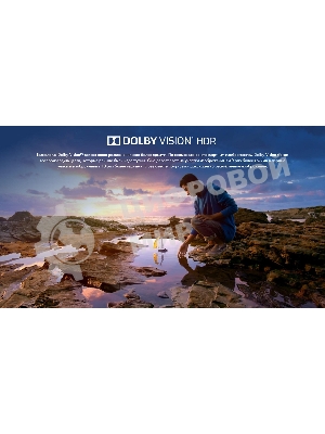 Телевизор Hisense 55