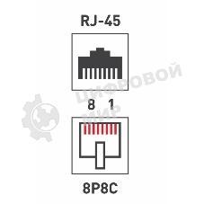 Проходной адаптер Rexant, RJ-45(8P-8C), UTP неэкранированный, категория 5e, (гнездо-гнездо)