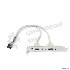 Планка портов в корпус ORIENT C086L30 2xUSB 2.0, длина кабеля 30 см, oem (31302)