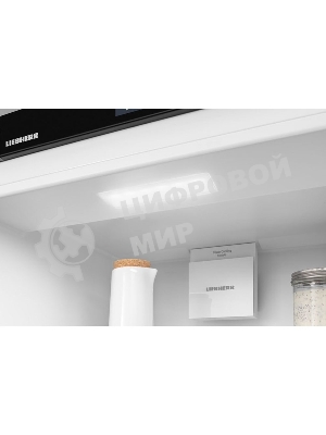 Встраиваемый холодильник Liebherr BUILT-IN ICNSE 5103-20 001