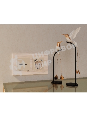 Комплект механизма розетки ALFA Бежевый матовый 2USB A+C 20W (быстрая зарядка) QUANT (AP3310, VM177) MA331010