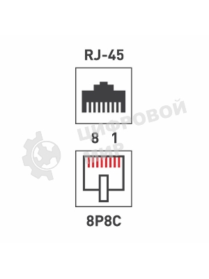 Розетка Rexant сетевая LAN, на стену, (2 гнездо 8Р8С (Rj-45), 5e кат)