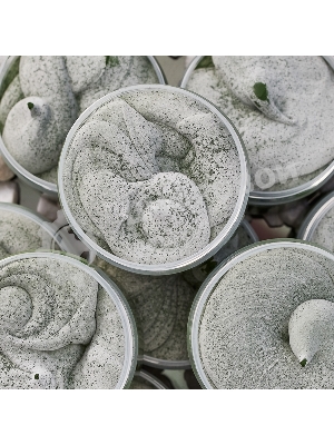 Паста ГОИ полировальная Rexant № 4, баночка 100 г