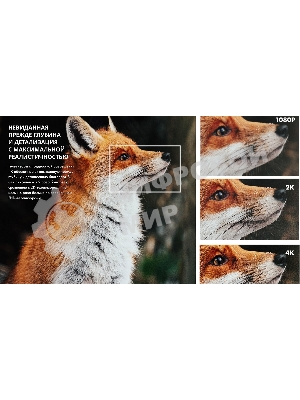 Телевизор Hisense 55