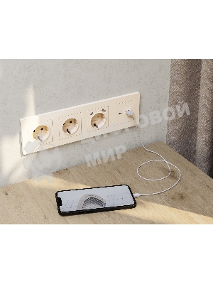 Комплект механизма розетки ALFA Бежевый матовый 2USB A+C 20W (быстрая зарядка) QUANT (AP3310, VM177) MA331010