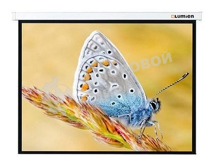 Экран с электроприводом Lumien Master Control 229x305 см (146