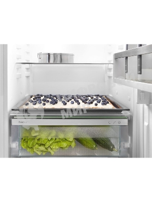 Встраиваемый холодильник Liebherr BUILT-IN ICNSE 5103-20 001