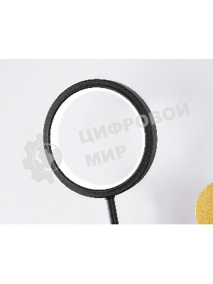 Настенный светодиодный светильник со сменной лампой Ambrella light FL51602/3 BK/GD черный/золото 11W 4200K+GU10 424*275*100