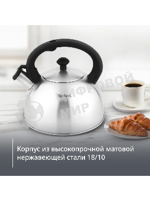 Чайник металлический со свистком Tefal N4210117 3110602015