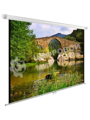 Экран Cactus 220x165 см WallExpert CS-PSWE-220x165-WT 1:1 настенно-потолочный рулонный белый