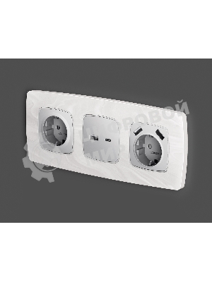 Лицевая панель OMEGA (Серебро глянец) для розетки 2USB тип A+C QUANT OP4110
