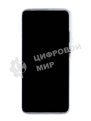 Дисплей для Samsung Galaxy S21 Ultra 5G SM-G998B/DS серебро