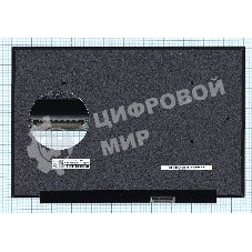 Матрица NE133QDM-N61