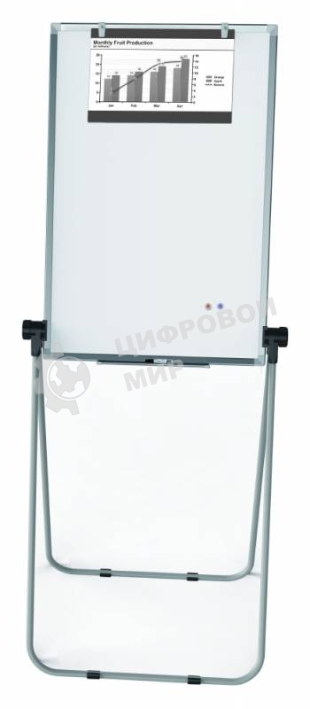 Флипчарт Deli E7886 сталь магнитно-маркерная, лак, 60х90см на подставке, алюминиевая рама белый, лоток для аксессуаров с аксессуарами