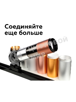 Насадка для корпуса светильника N6124 PYG золото желтое полированное D60*H32mm Out10mm MR16