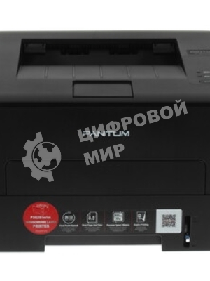 Принтер лазерный Pantum P3020D, А4, ч/б, печ. до 30 стр/мин., 600 x 600 dpi, USB, проектная модель