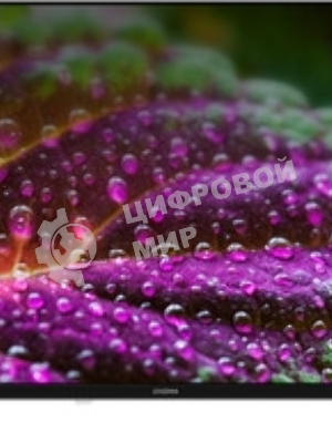 Телевизор Digma 55