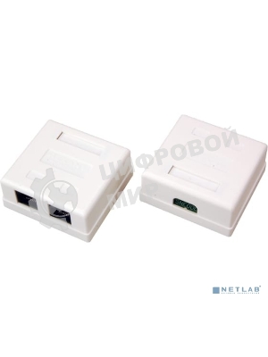 Розетка Rexant сетевая LAN, на стену, (2 гнездо 8Р8С (Rj-45), 5e кат)