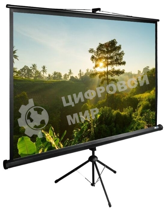 Экран Cactus 200x200 см TriExpert CS-PSTE-200х200-BK 1:1 напольный рулонный