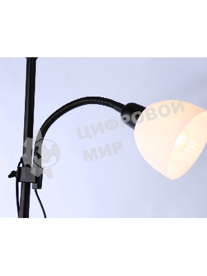 Светильник Ambrella light TR97629/2 BK черный E27+E14 max 40W D245/100*1770