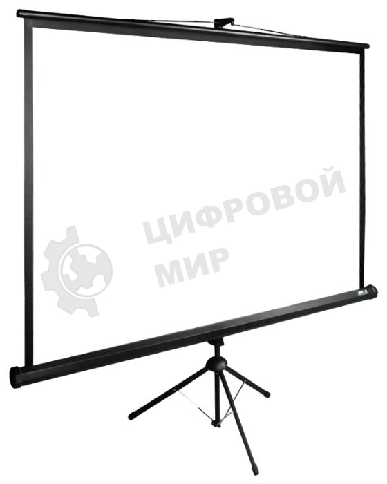 Экран Cactus 200x200 см TriExpert CS-PSTE-200х200-BK 1:1 напольный рулонный