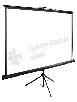 Экран Cactus 200x200 см TriExpert CS-PSTE-200х200-BK 1:1 напольный рулонный