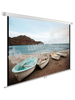 Экран Cactus 138x220см WallExpert CS-PSWE-220x138-WT 16:10 настенно-потолочный рулонный белый