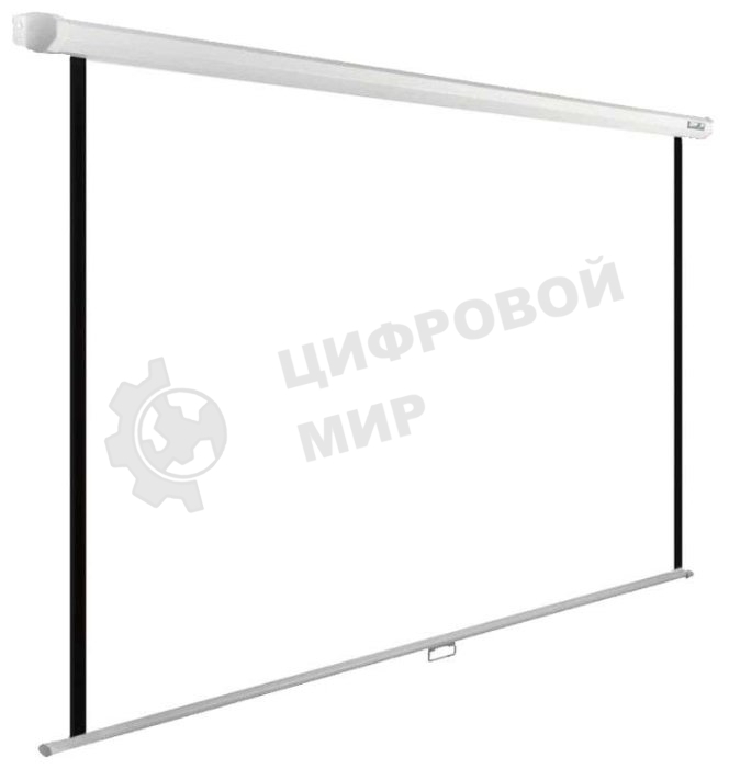 Экран Cactus 138x220см WallExpert CS-PSWE-220x138-WT 16:10 настенно-потолочный рулонный белый