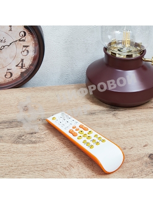 Универсальный пульт дистанционного управления Rexant для телевизора (RX-952)