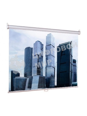 Экран Lumien 200x200 см Eco Picture LEP-100103 1:1 настенно-потолочный рулонный
