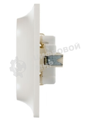 Systeme Electric Glossa Перламутр Розетка 2-ая с/з , 16А (в сборе)