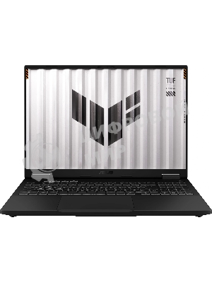 Ноутбук Asus TUF Gaming F16 FX608JPR-RV207/16