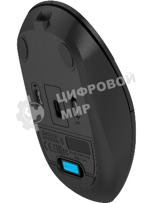 Мышь беспроводная A4Tech Fstyler FG16CS Air 2 черный, 2000 dpi, USB, радиоканал, кнопки - 4