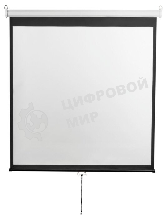 Экран 240x240см Digis Optimal-D DSOD-1107 1:1 настенно-потолочный рулонный
