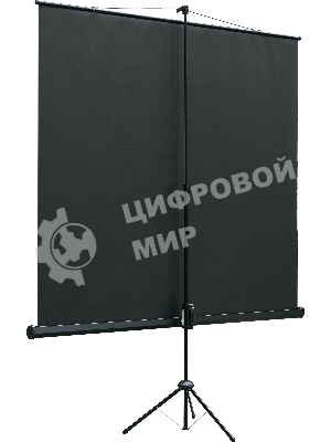 Экран на штативе Lumien Eco View 220x220 см (раб.область 214х214 см) Matte White с возможностью настенного крепления 1:1