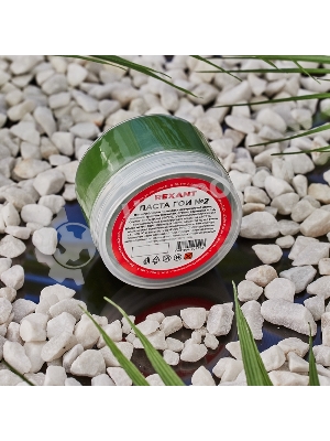 Паста ГОИ полировальная Rexant № 2, баночка 100 г