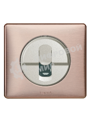 Рамка 1 пост Медь