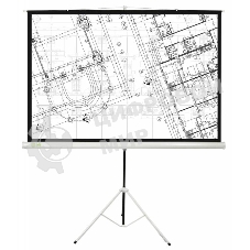 Экран Cactus 127x127см Triscreen CS-PST-127X127 1:1 напольный рулонный белый
