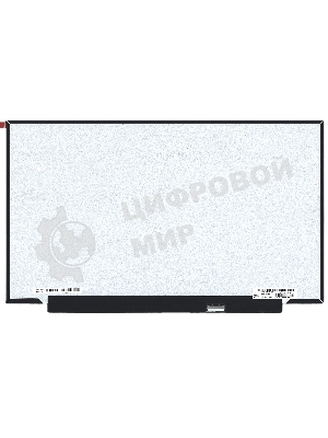 Матрица LP173WFG(SP)(T2)